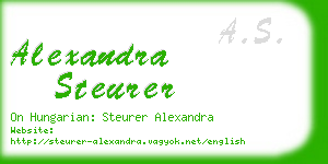 alexandra steurer business card